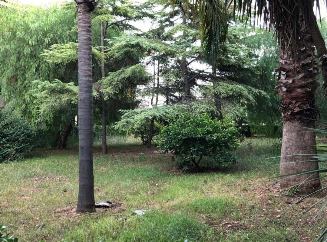 Pantanello Apartment Avola Bagian luar foto